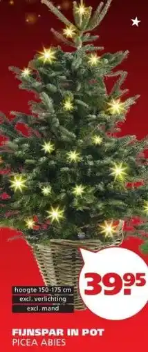 Ranzijn FIJNSPAR IN POT aanbieding