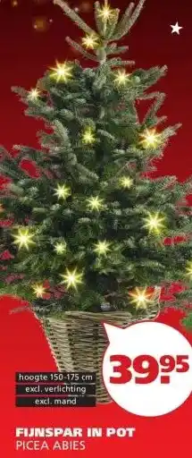 Ranzijn FIJNSPAR IN POT aanbieding