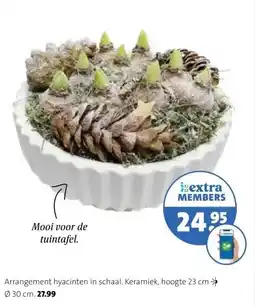 Intratuin Arrangement hyacinten in schaal. aanbieding