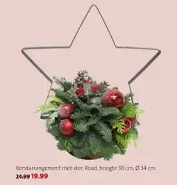 Intratuin Kerstarrangement met ster. aanbieding