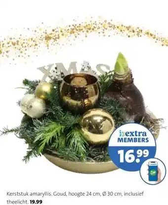 Intratuin Kerststuk amaryllis. aanbieding