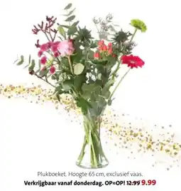 Intratuin Verkrijgbaar vanaf donderdag. aanbieding