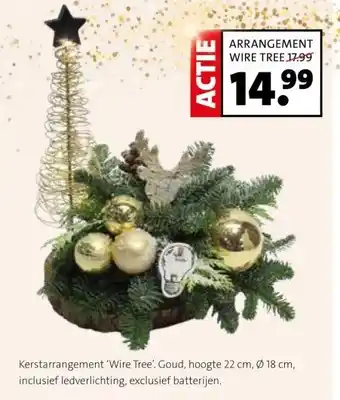 Intratuin ARRANGEMENT WIRE TREE aanbieding