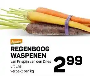 Ekoplaza REGENBOOG WASPENEN aanbieding
