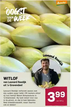 Ekoplaza WITLOF van Leonard Reedijk uit 's-Gravendeel aanbieding