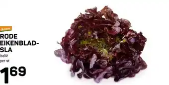 Ekoplaza RODE EIKENBLAD- SLA aanbieding