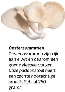 Dekamarkt Oesterzwammen aanbieding