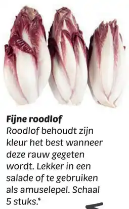 Dekamarkt Fijne roodlof aanbieding