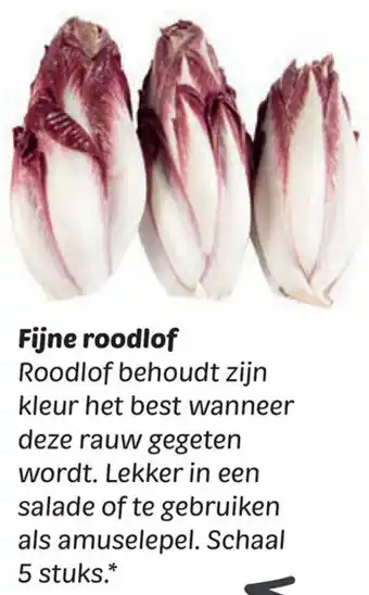 Dekamarkt Fijne roodlof aanbieding