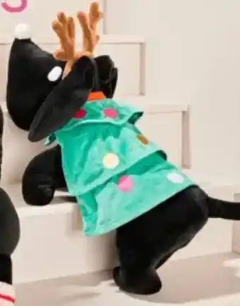 HEMA Verkleedknuffel Takkie of Siepie aanbieding