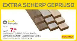 Praxis Laminaat trend titan eiken, zomer eiken of lichtgrijs eiken aanbieding