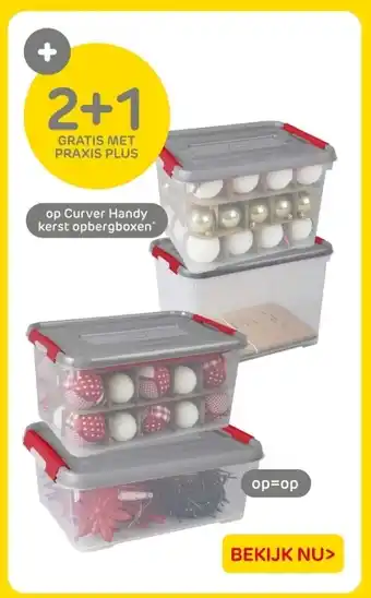 Praxis Op Curver Handy kerst opbergboxen aanbieding