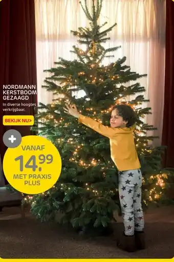 Praxis Nordmann kerstboom gezaagd aanbieding