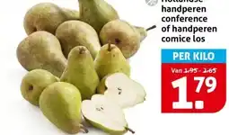 Hoogvliet Hollandse handperen conference aanbieding