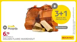 Praxis Golden flame haardhout aanbieding