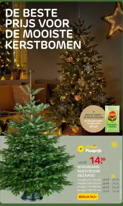 Praxis Nordmann kerstboom gezaagd aanbieding
