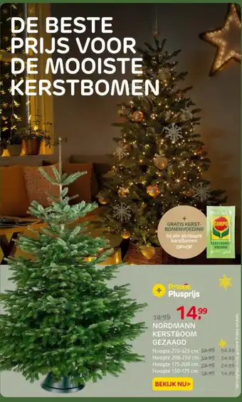 Praxis Nordmann kerstboom gezaagd aanbieding