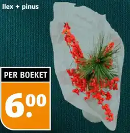 Poiesz llex + pinus aanbieding