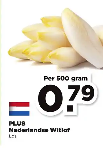 PLUS Nederlandse Witlof 500 gram aanbieding