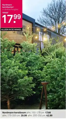 Karwei Nordmann kerstbomen aanbieding