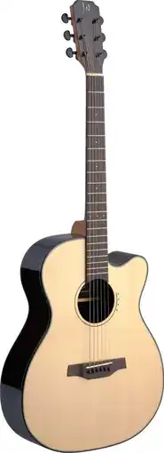 Bol.com LYN-ACFI elektro-akoestische western gitaar met massief bovenblad aanbieding