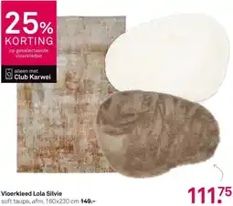 Karwei Vloerkleed Lola Silvie aanbieding