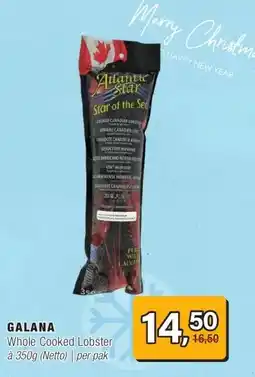 Amazing Oriëntal GALANA aanbieding