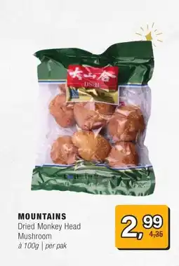 Amazing Oriëntal MOUNTAINS aanbieding