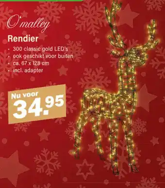 Van Cranenbroek O'malley Rendier aanbieding