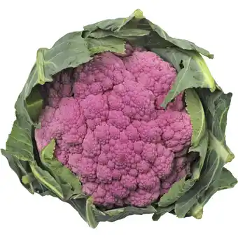 Albert Heijn AH Mini paarse bloemkool aanbieding