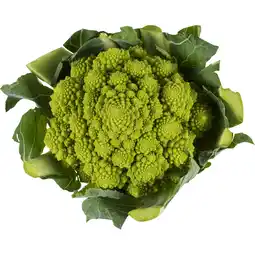 Albert Heijn AH Mini Romanesco aanbieding