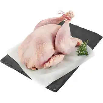 Albert Heijn AH Vakslager Kalkoen aanbieding