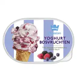 Albert Heijn Hertog Ijssalon yoghurt bosvruchten aanbieding