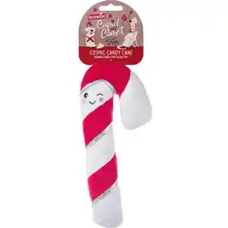 Albert Heijn Rosewood Cupido en ster hond kosmische zuurstok aanbieding