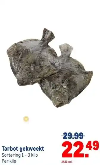 Makro Tarbot gekweekt aanbieding