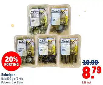 Makro Schelpen aanbieding