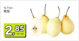 Amazing Oriëntal Ya Peer aanbieding