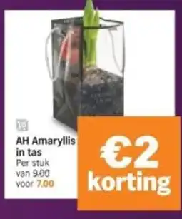Albert Heijn AH Amaryllis in tas aanbieding