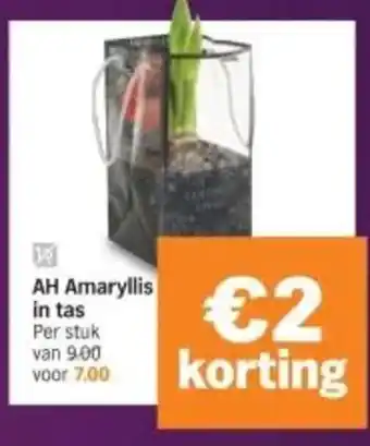 Albert Heijn AH Amaryllis in tas aanbieding