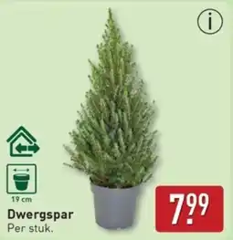 ALDI Dwergspar aanbieding