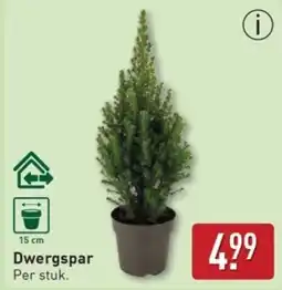 ALDI Dwergspar aanbieding