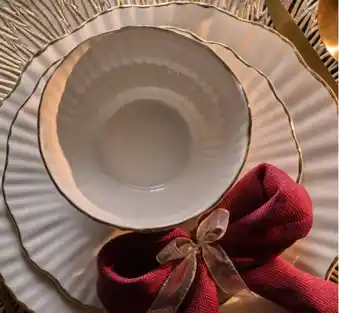 Action Arista dinerbord aanbieding