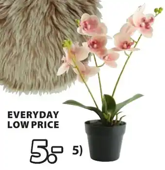 Jysk Gudjon kunstplant aanbieding