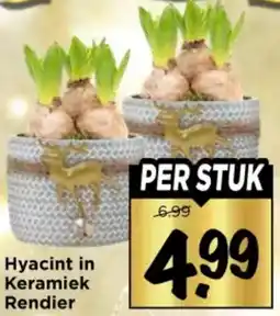 Vomar Voordeelmarkt Hyacint in Keramiek Rendier aanbieding