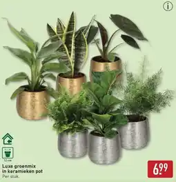 ALDI Luxe groenmix in keramieken pot aanbieding