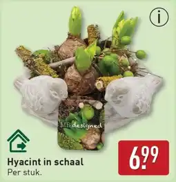 ALDI Hyacint in Schaal aanbieding