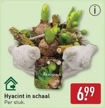 ALDI Hyacint in Schaal aanbieding