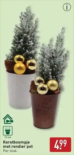 ALDI Kerstboompje met rendier pot aanbieding