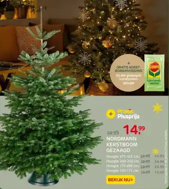 Praxis Nordmann kerstboom gezaagd aanbieding
