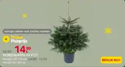 Praxis Nordmann in pot aanbieding